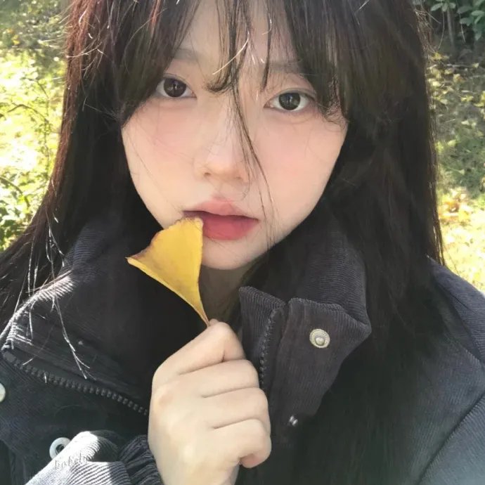 爱情有什么道理